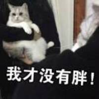 0c69a83a64343f23379f52e763e28f47aedc6151